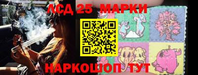индика Обь