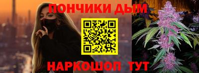 индика Обь