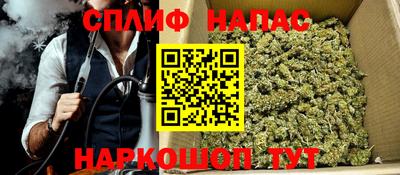 индика Обь