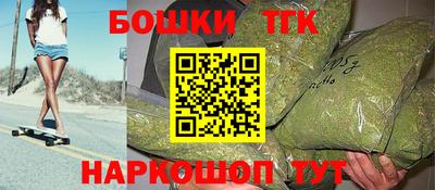 индика Обь
