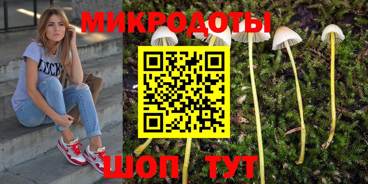 Родники  магазин продажи наркотиков  Вход с VPN  Псилоцибиновые грибы Psilocybe 