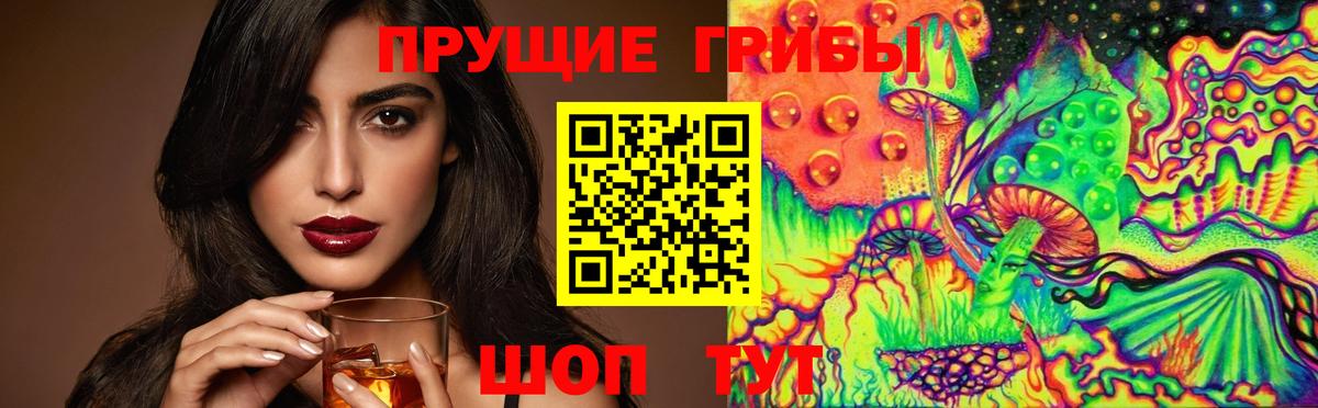 Галлюциногенные грибы Cubensis Родники